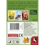 Pegasus 18520G, Kortspil 
