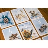 Pegasus Pixies, Kortspil 