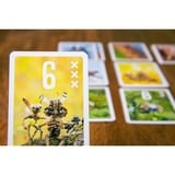 Pegasus Pixies, Kortspil 