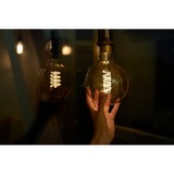 Shelly Vintage G125, LED-lampe 