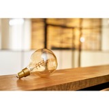 Shelly Vintage G125, LED-lampe 