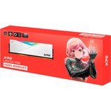 ADATA LANCER RGB hukommelsesmodul 16 GB 1 x 16 GB DDR5 Hvid, 16 GB, 1 x 16 GB, DDR5, 7200 MHz, 288-pin DIMM