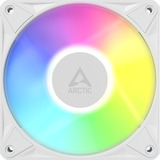ARCTIC BioniX P12 A-RGB, Sag fan Hvid/Hvid
