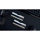 G.Skill F5-6400J3239G32GX2-TZ5RS, Hukommelse Sølv/Sort