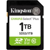 Kingston SDS3/1TB, Hukommelseskort 