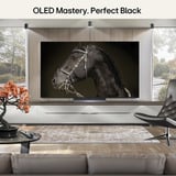 LG OLED48C6ELB.AEUD, OLED-TV Sort