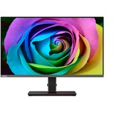 Lenovo Creator Extreme(F20270UP0), LED-skærm Sort