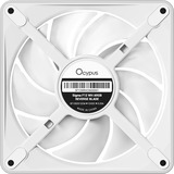 Ocypus Sigma F12 ARGB, Sag fan Hvid