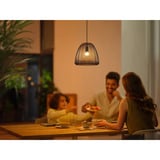 Philips Hue White Ambiance E14 Smart Pære Dråbeform Dobbeltpakke 470 lm, LED-lampe 