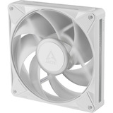 ARCTIC BioniX P14 A-RGB, Sag fan Hvid/Hvid