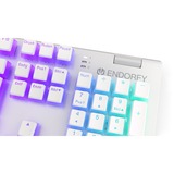 ENDORFY Gaming-tastatur Hvid, DE-layout, Kailh RGB Brun