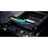 G.Skill F5-5600J4040D48GX2-TZ5RK, Hukommelse Sort