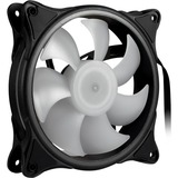 Inter-Tech Argus RS-081 RGB Computerkabinet Ventilator 12 cm Sort, Hvid, Sag fan Sort, Ventilator, 12 cm, 1200 rpm, 30 dB, Sort, Hvid