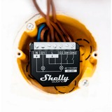 Shelly Wave 2PM, Stafetter Sort