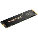 Team Group T-Force GA PRO 1 TB, Solid state-drev Sort