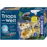 KOSMOS Kit per esperimenti Triops-Welt 633073 da 8 anni, Eksperiment boks 