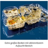 KOSMOS Kit per esperimenti Triops-Welt 633073 da 8 anni, Eksperiment boks 