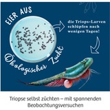 KOSMOS Kit per esperimenti Triops-Welt 633073 da 8 anni, Eksperiment boks 