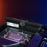 ADATA CUDIMM 32 GB DDR5-6400, Hukommelse 