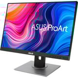 ASUS ProArt Display PA248QV Gen2 (PA248QFV), LED-skærm Sort/Sølv