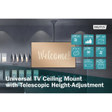 Digitus DA-90421, Mount Sort