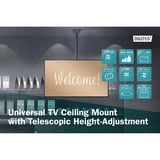 Digitus Universal TV-loftbeslag med teleskopisk højdejustering, Mount Sort