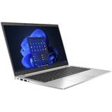 HP A74217V1, Notebook Sølv