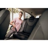 Kärcher WD 5 S V-25/5/22, Våd / tør støvsuger Gul/rustfrit stål