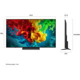 LG 65QNED83B6A.AEUD, QNED TV Sort