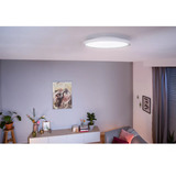 Philips White Ambiance Aurelle rund panel lampe, LED lys Hvid