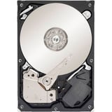 Seagate Generalüberholt, Harddisk Bulk