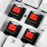 Sharkoon SKILLER SGK3 tastatur USB QWERTY Engelsk, Spansk Hvid, Gaming-tastatur Hvid, ES-layout, Kalih rød, Fuld størrelse (100 %), USB, Mekanisk, QWERTY, RGB LED, Hvid