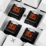 Sharkoon SKILLER SGK3 tastatur USB QWERTY Engelsk, Spansk Hvid, Gaming-tastatur Hvid, ES-layout, Kalih rød, Fuld størrelse (100 %), USB, Mekanisk, QWERTY, RGB LED, Hvid