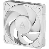 ARCTIC Sag fan Hvid