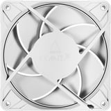 ARCTIC Sag fan Hvid