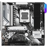 ASRock B650M PRO RS, Bundkort 
