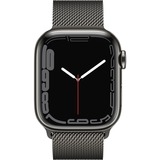 Apple SmartWatch grafit/grafit