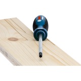 Bosch 0615990N2R, tang sæt Blå