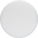 Bosch 1608613013 Buffer disk, Polering hjul Buffer disk, 16 cm, Hvid