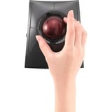 Kensington SlimBlade Pro Trackball Sort/mørk rød, Ambidextrous, Optisk, RF Wireless + Bluetooth + USB Type-A, 1600 dpi, Sort