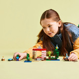 LEGO 21275, Bygge legetøj 