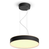 Philips Hue 915005998101, LED lys Sort