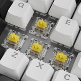 Sharkoon Gaming-tastatur Hvid, Amerikansk layout, Gateron Yellow