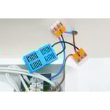 Shelly Relay cyan