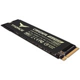 Team Group T-FORCE CARDEA A440 M.2 PCIe 2000 GB PCI Express 4.0, Solid state-drev Sort/Guld, 2000 GB, M.2, 7000 MB/s