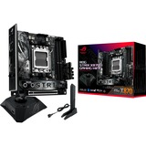 ASUS Bundkort 