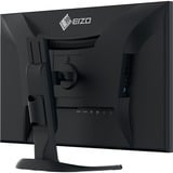 EIZO LED-skærm Sort