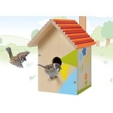 Eichhorn Fuglehus, Klippe og klistre 