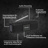 Karcher DAB Go, Radio Sort