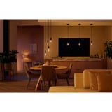 Philips Hue White Ambiance Filament lampe E27 Giant Globe 550 lm, LED-lampe 